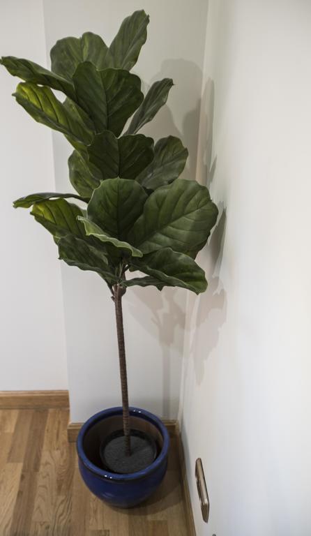 Tu Hogar En Chamberi Apartment Madrid Luaran gambar
